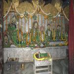 Vraj-Yatra-2014- (1433)